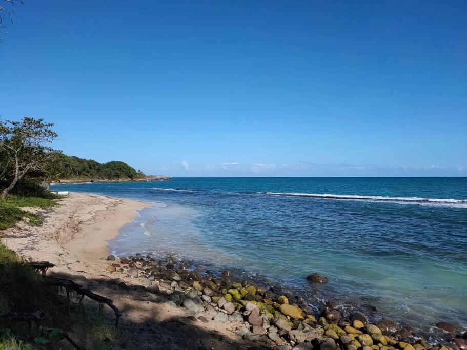 Haut De Villa Avec Vue Sur La Mer Sainte-Rose Eksteriør bilde