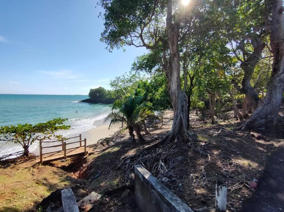 Haut De Villa Avec Vue Sur La Mer Sainte-Rose Eksteriør bilde